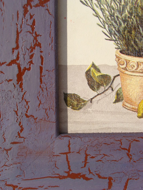 Provence — foto 4