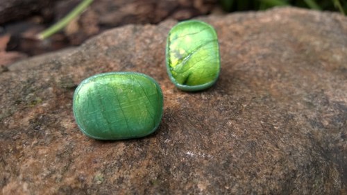 Chameleonky — foto 3