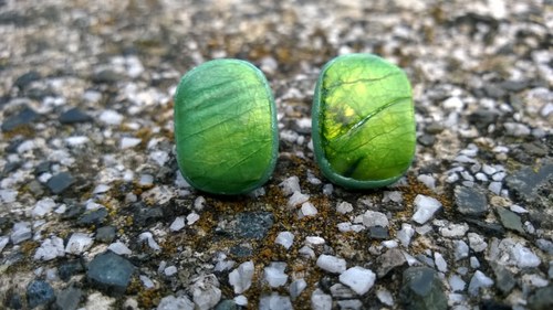 Chameleonky — foto 4