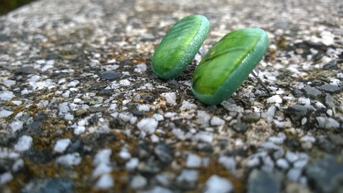 Chameleonky — foto 5