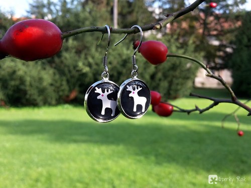 Sobíci aneb srdcová záležitost — foto 2