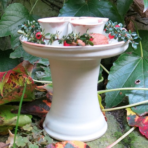 Adventní bílý — foto 2