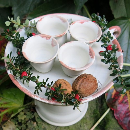 Adventní bílý — foto 3