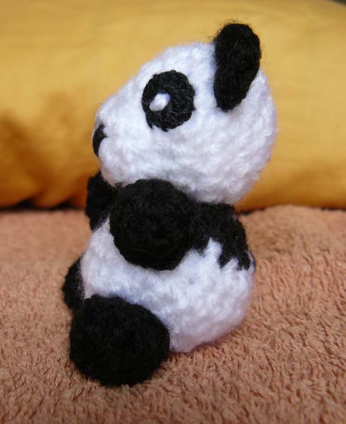 Panda — foto 2