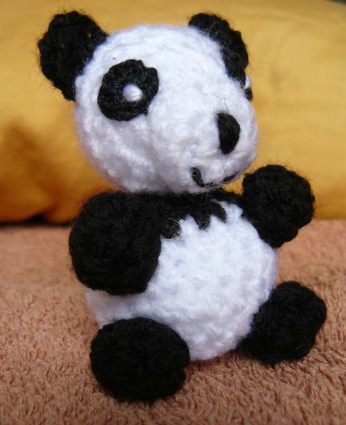 Panda — foto 4