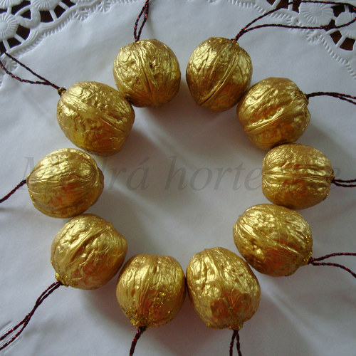 Zlatý oříšek — foto 2