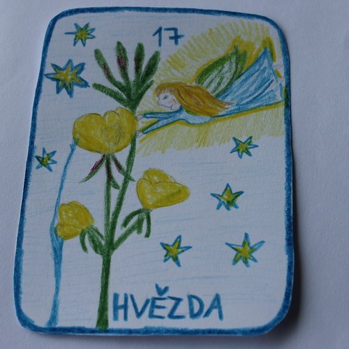 Hvězdičko...zářivá — foto 2