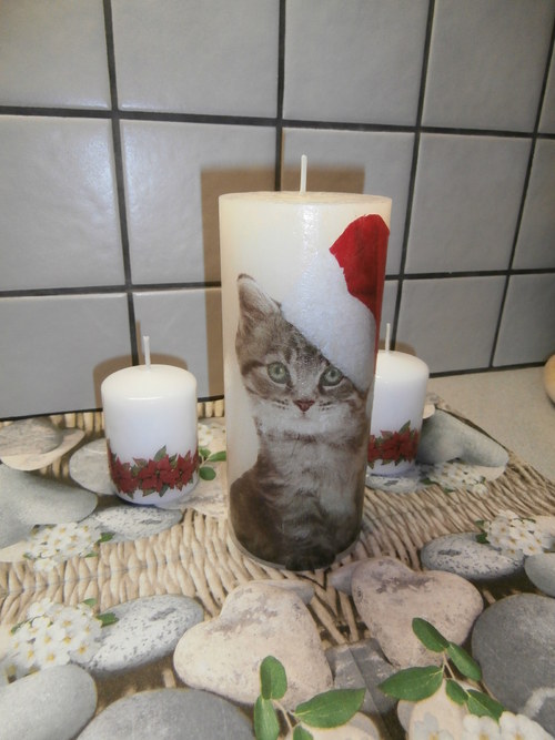 Vánoční kočička — foto 3