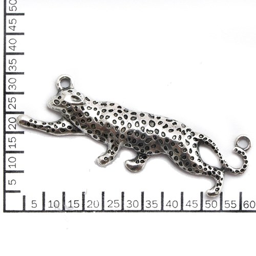 Leopard — foto 2