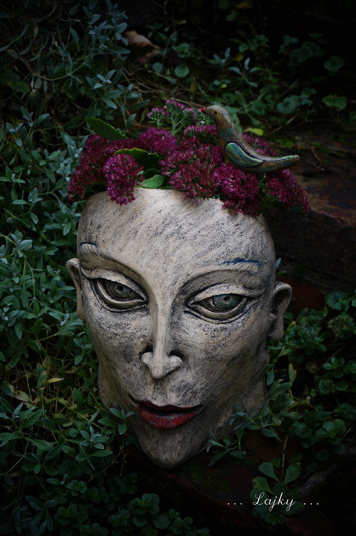 Stone head — foto 6