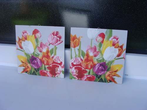 Tulipány — foto 5