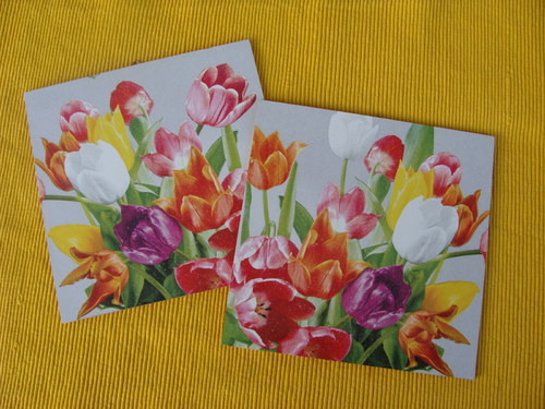 Tulipány — foto 6
