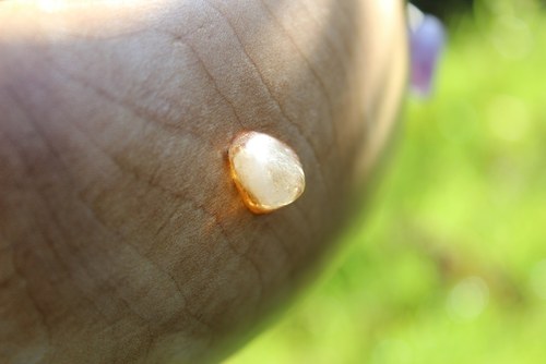 Regiumphiala — foto 6