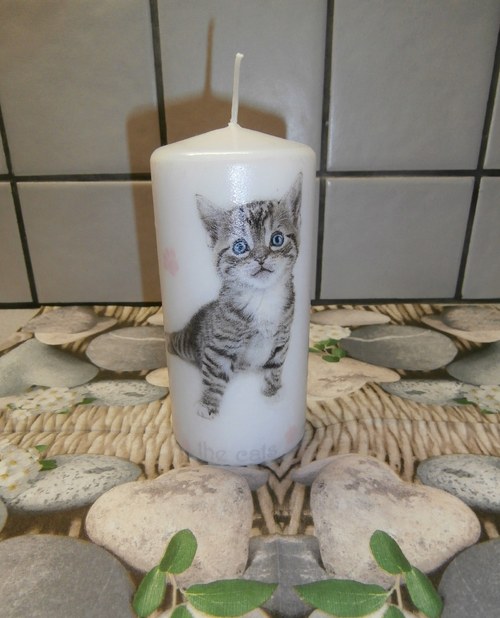 Svíčka s koťátky — foto 2