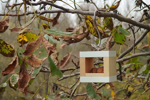 Ptačí krmítko Rubik — foto 2