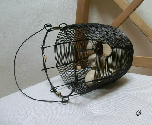 Jdeme na houby? SLEVA z 388,- — foto 4