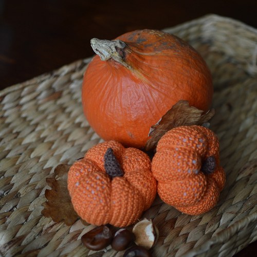 Couleurs d`automne — foto 6