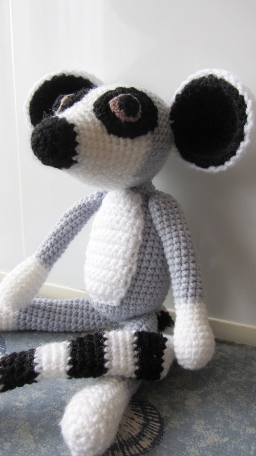 Lemur Lukášek — foto 4