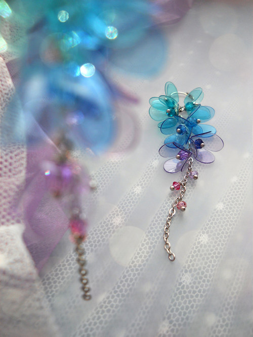 ...wisteria blueberria — foto 2