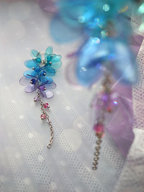 ...wisteria blueberria — foto 5