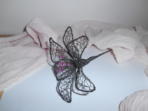 Drátovaná lilie — foto 2