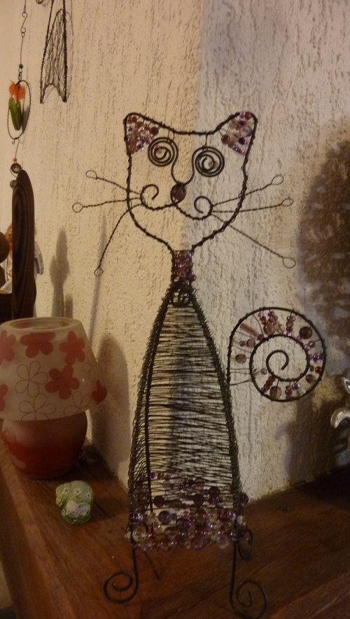 Paní kočka — foto 2