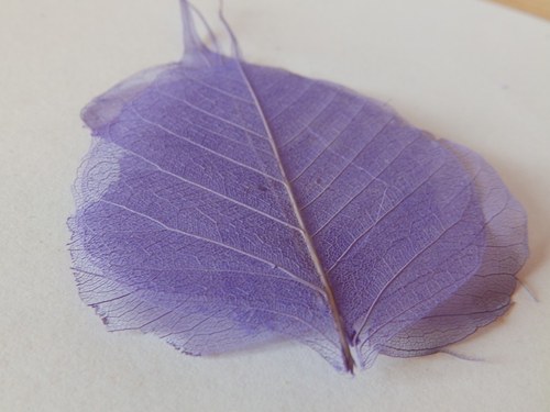 Skelet listu 10ks — foto 2