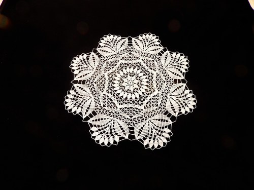 Osmilistá krása — foto 2