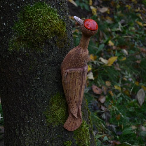 Datel hnědý — foto 4