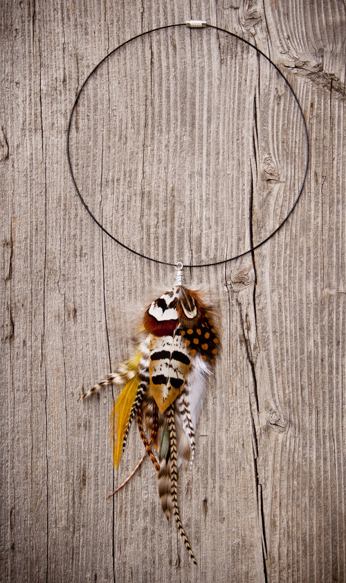 Plains Cree — foto 2