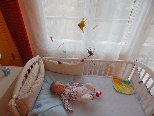 Plovoucí závěsné rybičky — foto 4
