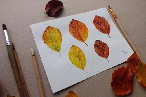 Fagus sylvatica. Akvarel. — foto 3
