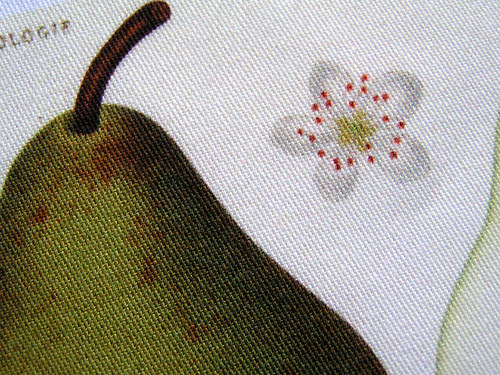 Hruška (6) (látkový panel) — foto 2