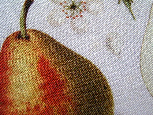 Hruška (4) (látkový panel) — foto 2
