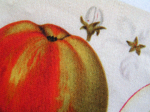 Jablko (5) (látkový panel) — foto 2