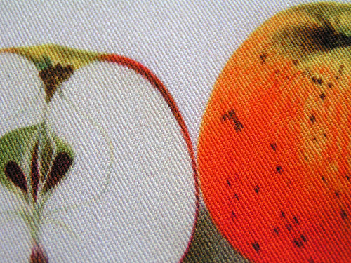 Jablko (4) (látkový panel) — foto 2