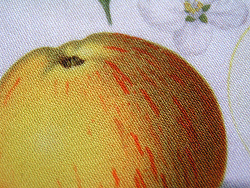 Jablko (1) (látkový panel) — foto 2
