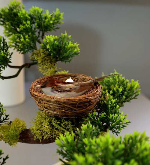 Bonsai s ptáčkem — foto 3