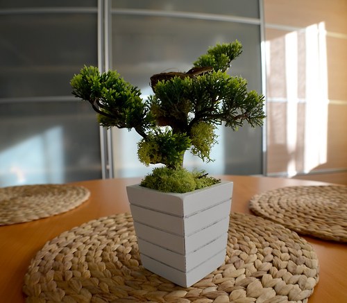 Bonsai s ptáčkem — foto 4
