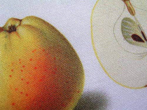 Jablko (6) (látkový panel) — foto 2