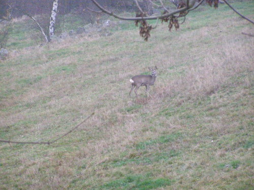 Krtečkové gatě - Barvičkové — foto 6