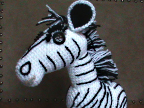 Zebra-pruhy mi sluší — foto 3