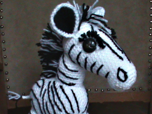 Zebra-pruhy mi sluší — foto 5