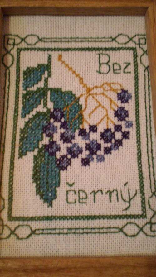 Bez černý — foto 3