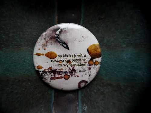 Haiku o nových začátcích — foto 3