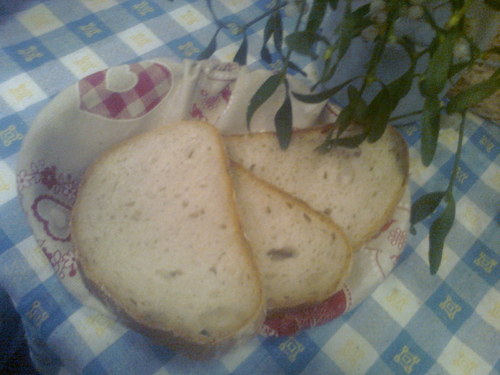 Ošatka srdíčko — foto 2