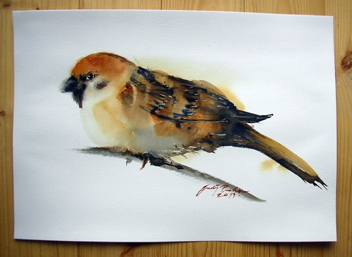 Vrabec,originální akvarel — foto 2