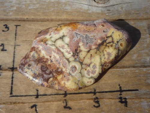 Jaspis leopardí B4018 — foto 2