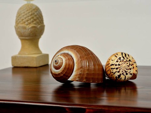Konferenční stolek- FOUR PINE Table Doprava Zdarma — foto 4