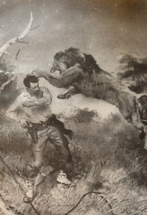 J. Verne: Hvězda Jihu — foto 3